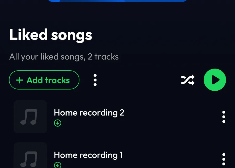 Liked songs in Lyra with two imported files, each with the download mark