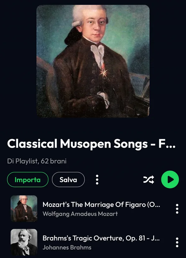 Anteprima in Lyra di una playlist di YouTube Music con il pulsante Importa